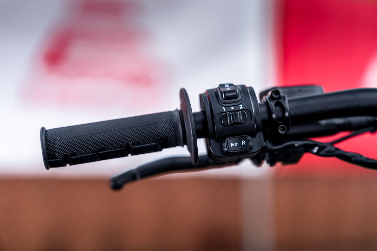 E RIDE PRO SS 3.0 - Eride Pro New Zealand