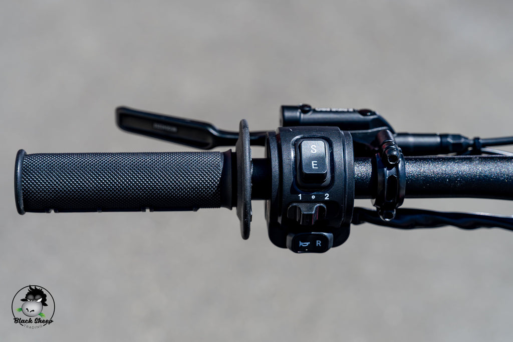 E RIDE PRO SS 2.0 - Eride Pro New Zealand